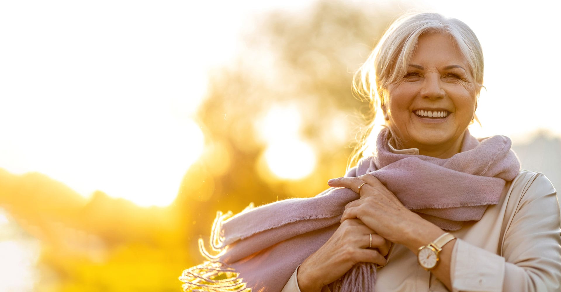 dental bridge banner